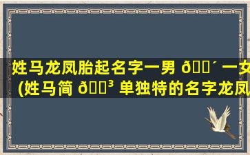 姓马龙凤胎起名字一男 🐴 一女(姓马简 🌳 单独特的名字龙凤胎名字)